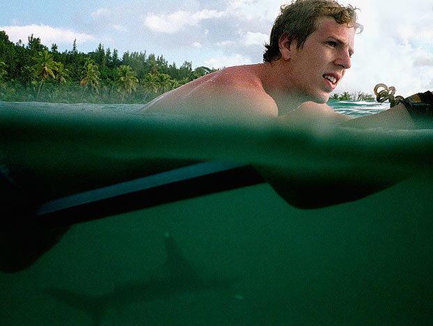 shark-myths-3-622x468