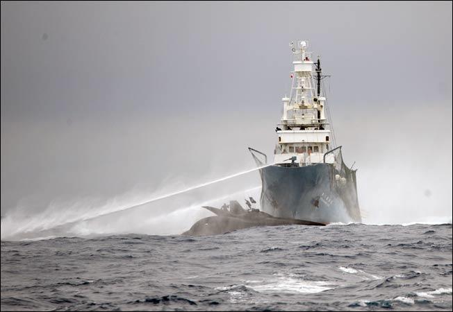 Sea Shepherd Boat Crash Whale Wars Animal Planet