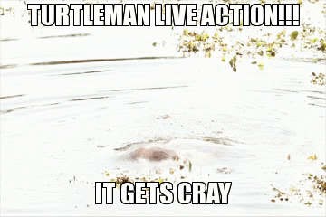 New Season! New Live Action! Wilder than EVER!
