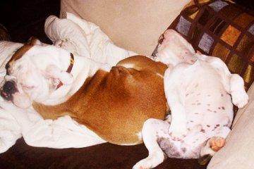 Toots and Hayden: Submitted by Amber N.-