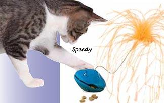 4. For Purr A-mewsment: Twist n' Treat Teaser