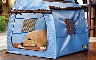 4. For Wanderlusters: Animal Planet Portable Pet Tent