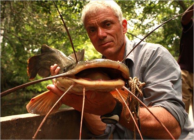 Kamba Catfish & Vundu Catfish Photos | River Monsters | Animal Planet