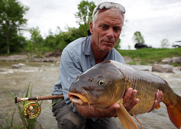Lamprey Pictures River Monsters Animal