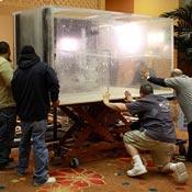Acrylic Tank Manufacturing (ATM) | Tanked | Animal Planet - Read more Read less About Acrylic Tank Manufacturing (ATM)