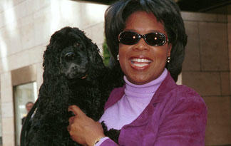 The Puppy Mill By Oprah Winfrey