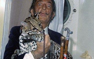 salvador dali ocelot