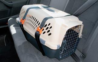 5-best-car-seats-small-dogs2