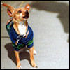 barking0