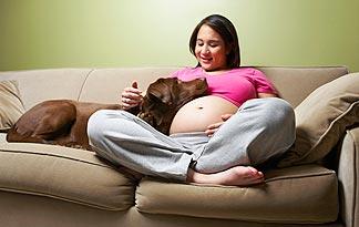 pregnant and my dog is acting weird