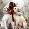 more-dog-guide0