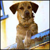 separation0