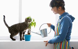 simple-ways-to-green-your-pet0