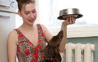 simple-ways-to-green-your-pet1