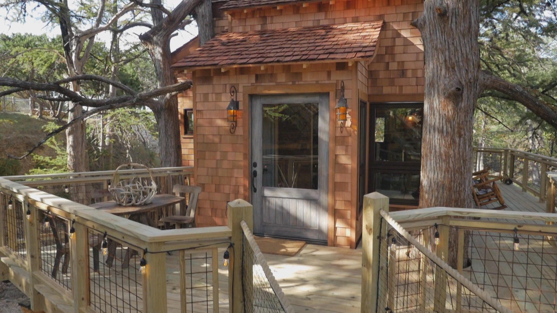 Texas Sized Treehouse Treehouse Masters Animal