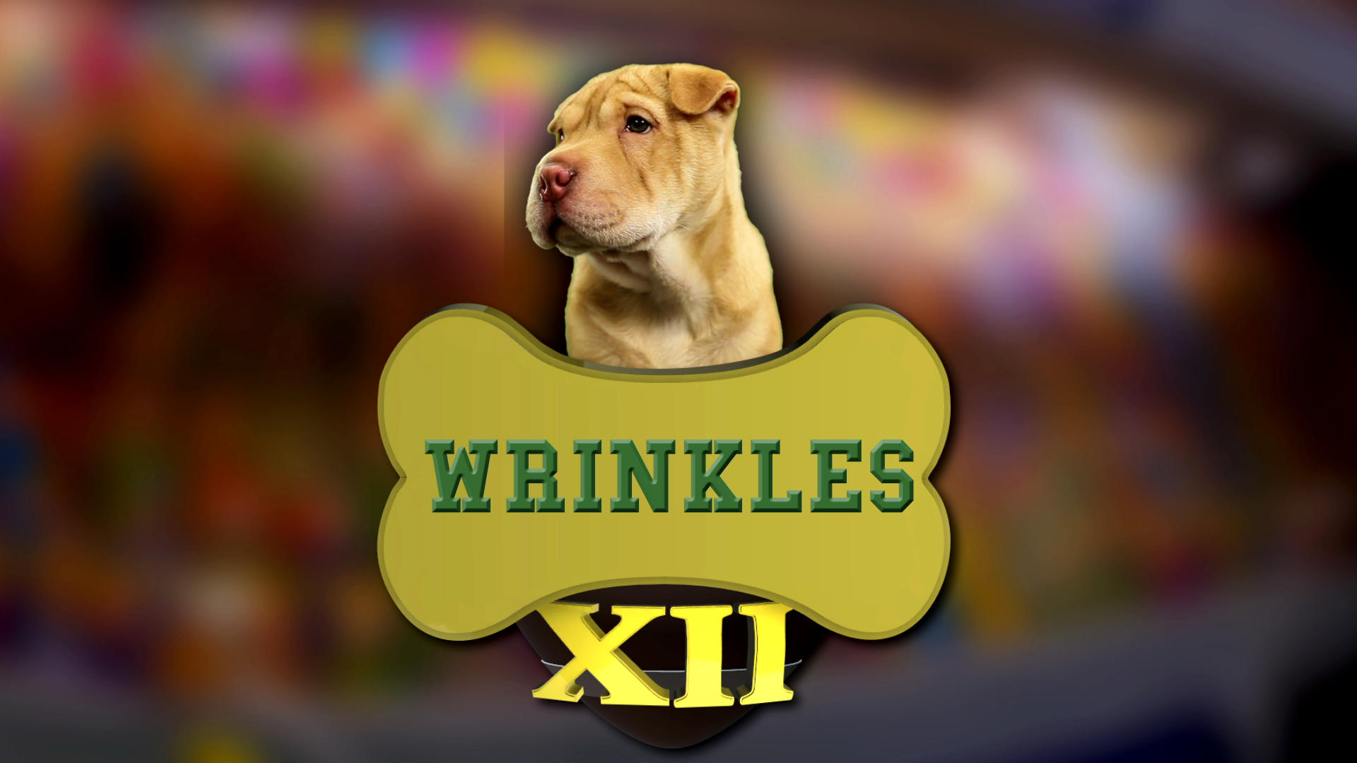 Wrinkles | Puppy Bowl | Animal Planet1920 x 1080