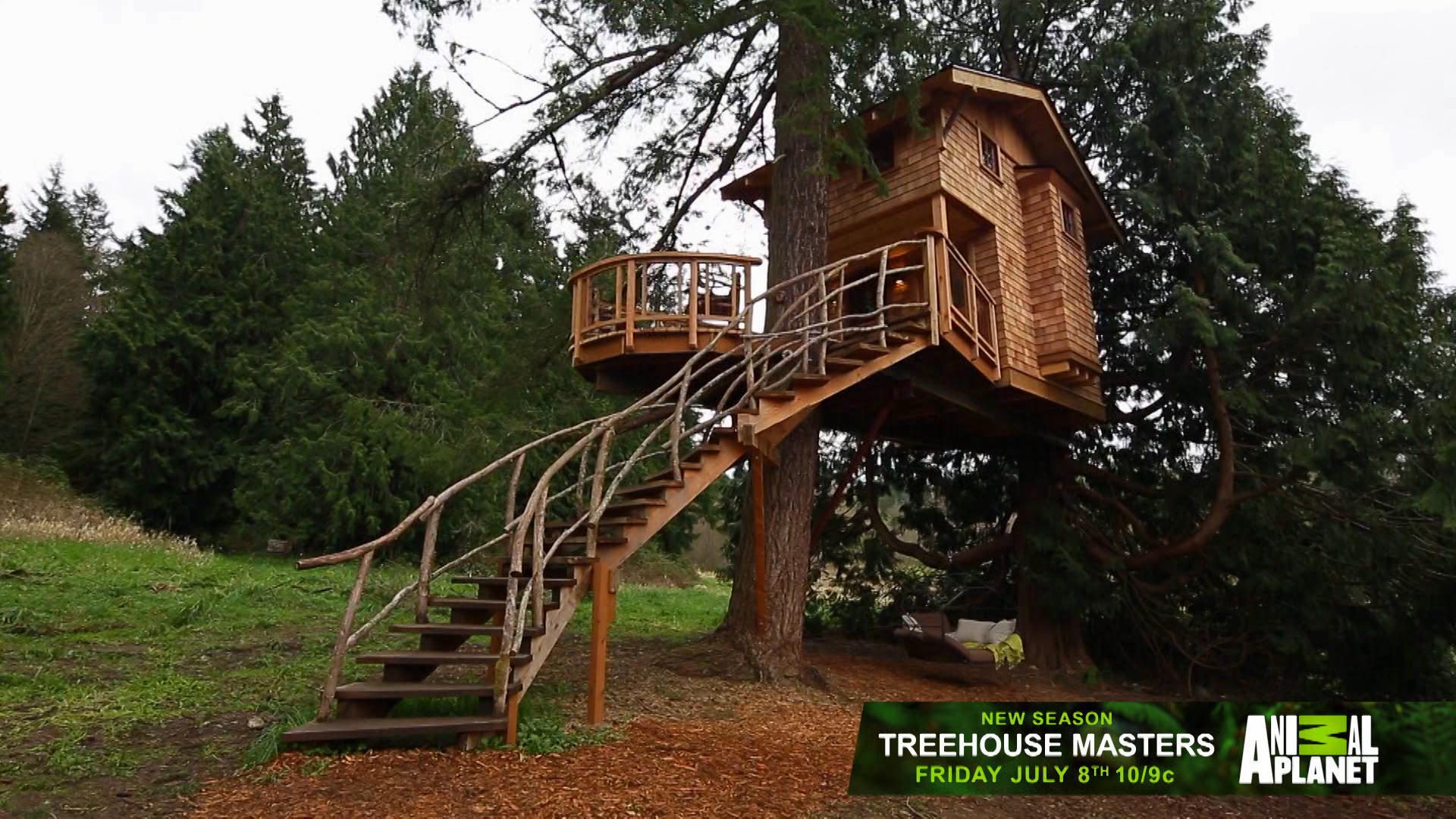 Treehouse Masters New Season Sneak Peek Treehouse Masters Animal
