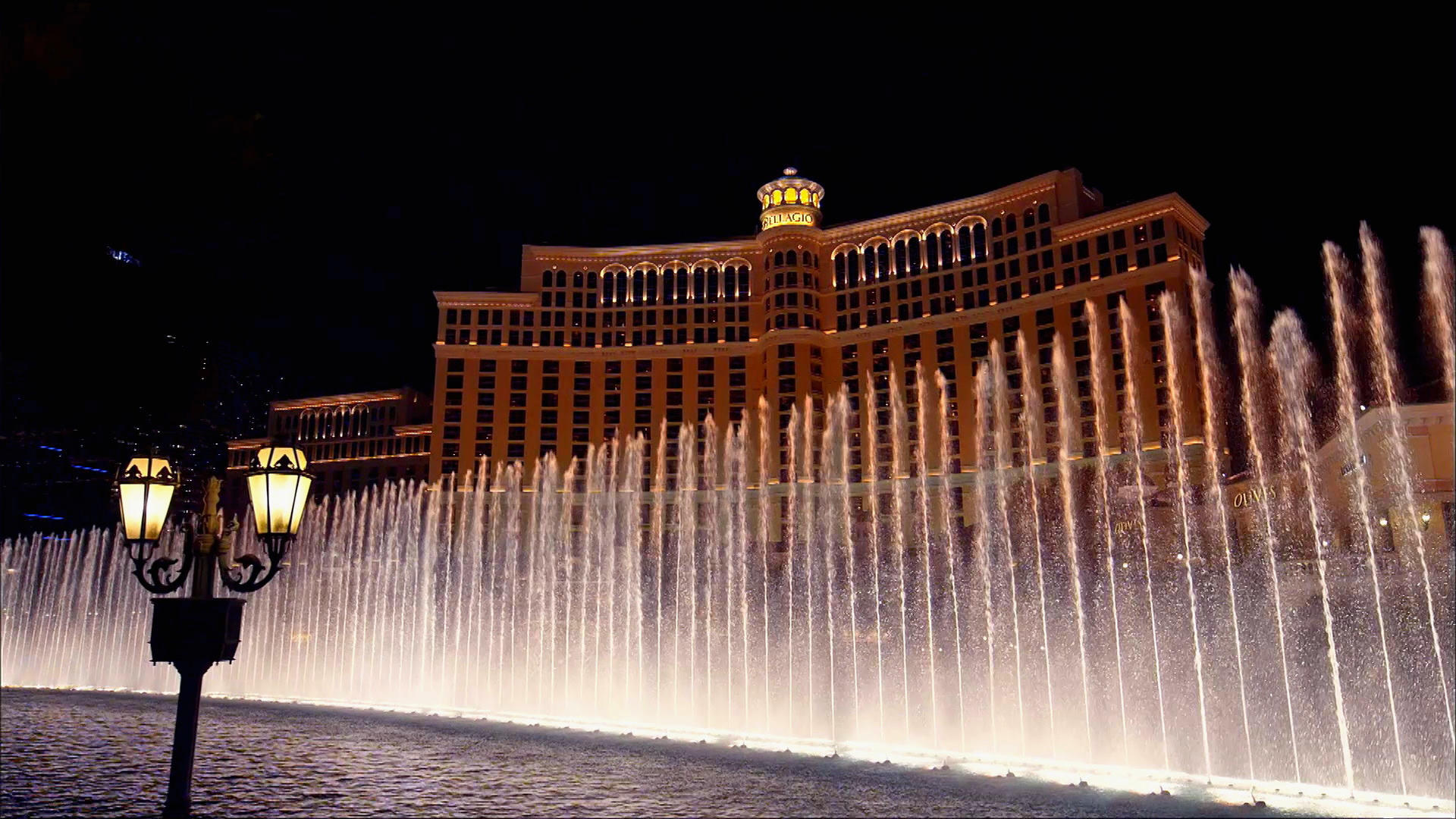 inside-the-bellagio-dancing-fountains-tanked-tanked-animal-planet