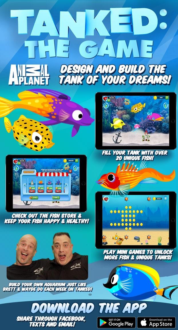 Watch Fish Tank Online Facebook Games