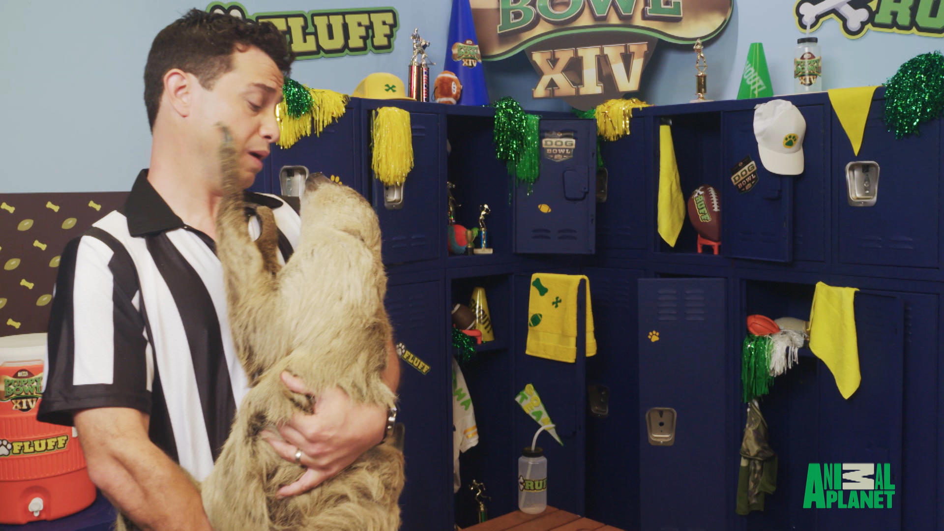 shirley the sloth puppy bowl