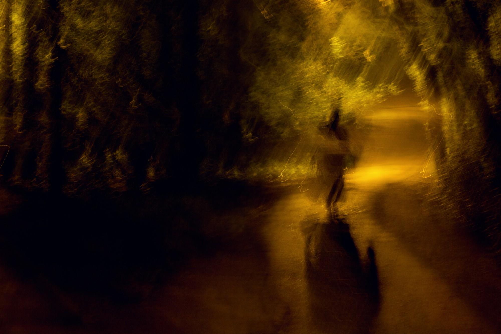 What Is a Shadow Figure? Not a Ghost and Not an Alien The Hauntist Destination America