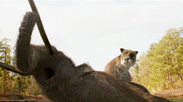 Saber Toothed Tiger Diet Information - directorinter