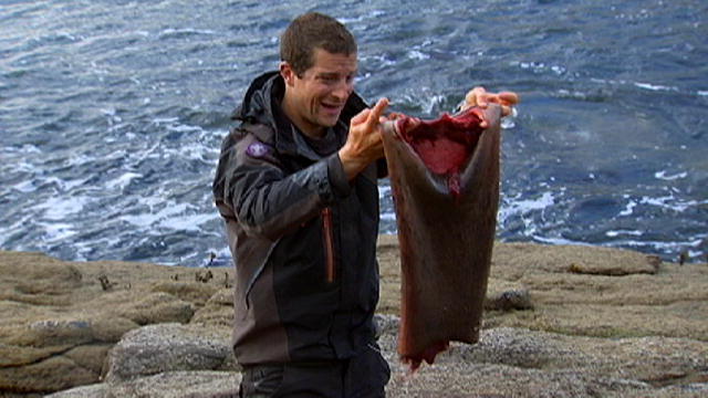 Best of 2011 | Man Vs Wild | Discovery