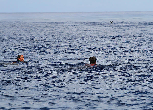 Alison and Jonathan swim through shark-infested waters to get from an island with no resources to another that will give them better odds of survival.