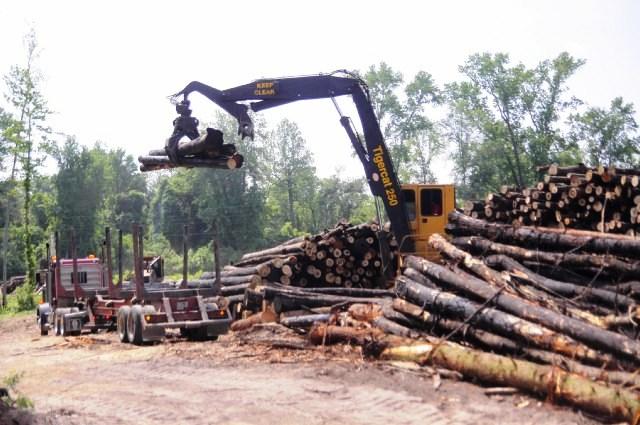 Swamp Loggers Swamp Loggers