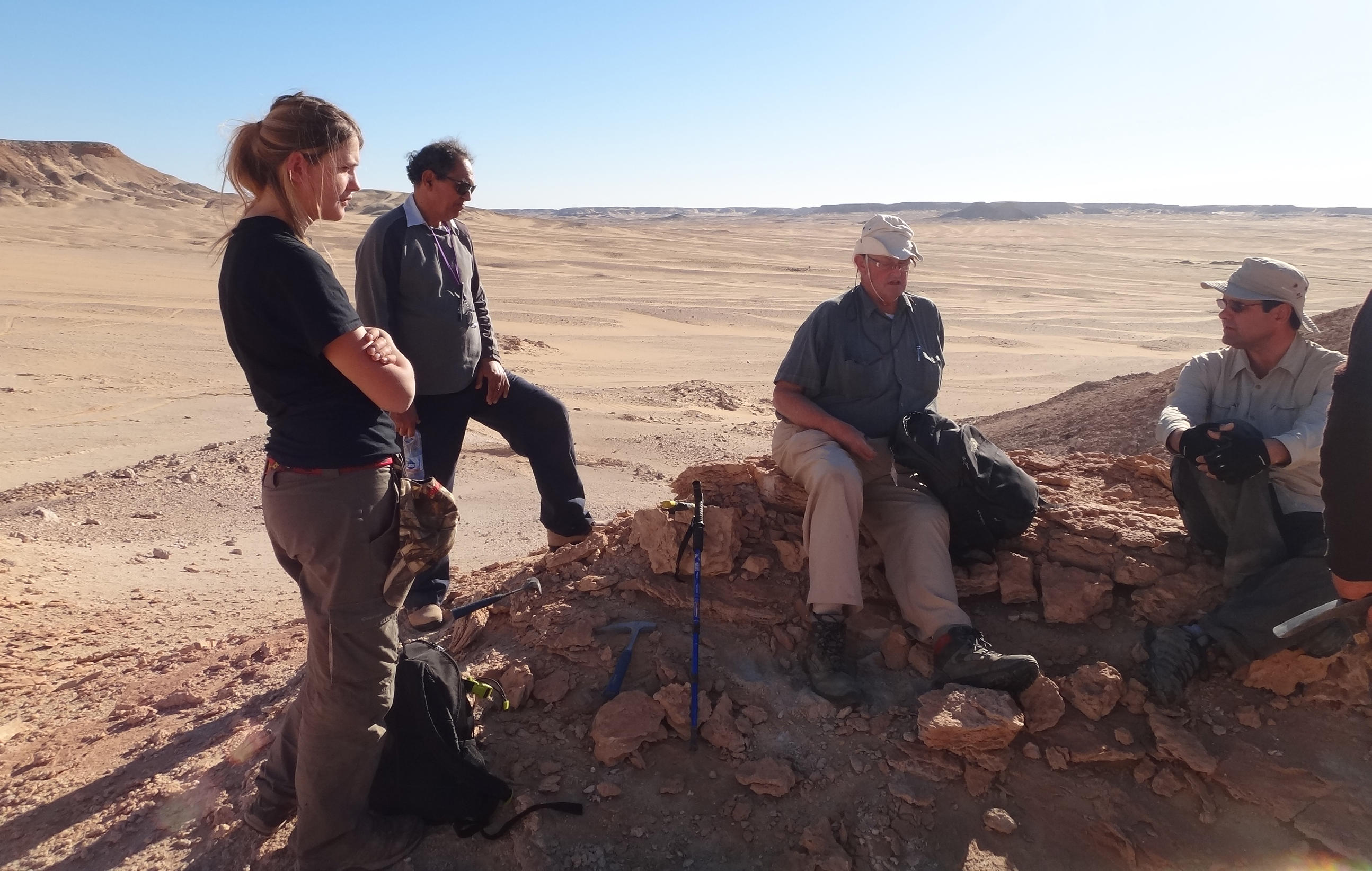 New Fossils Document Impact of Climate Change on Evolution Discovery