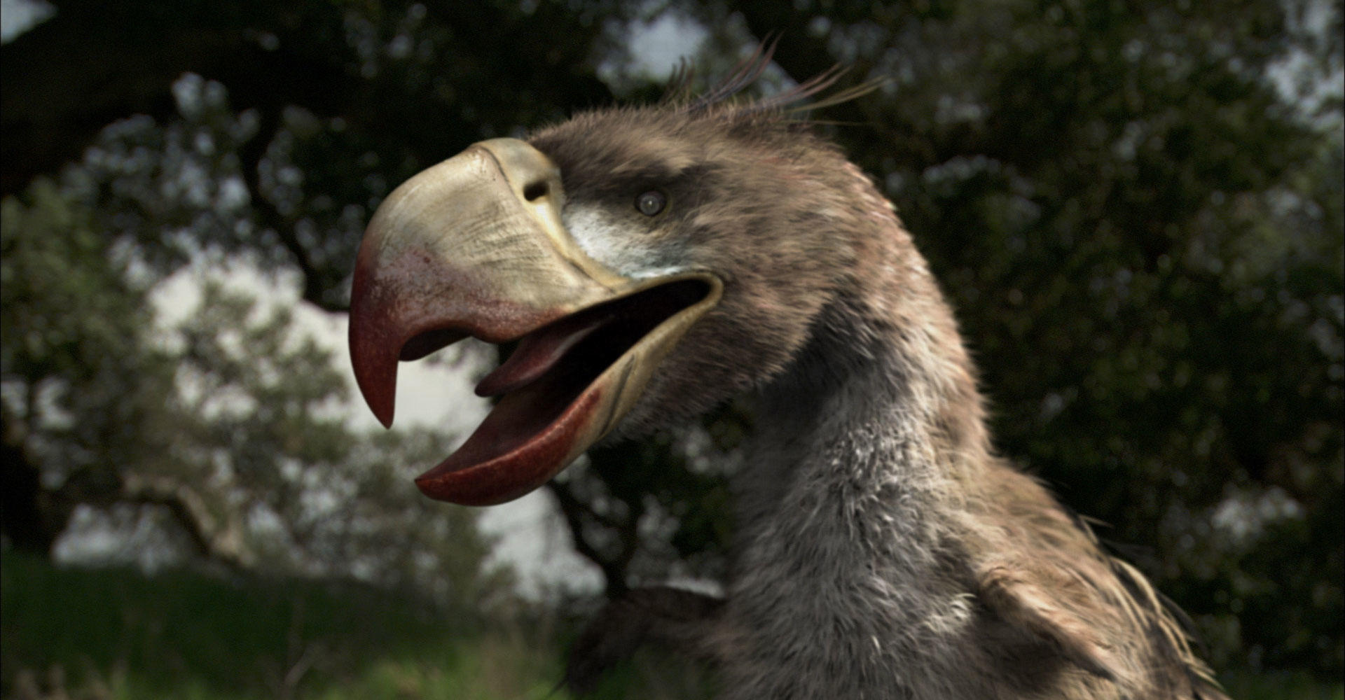 Near-Complete Fossil Sheds Light on Ferocious Terror Bird 