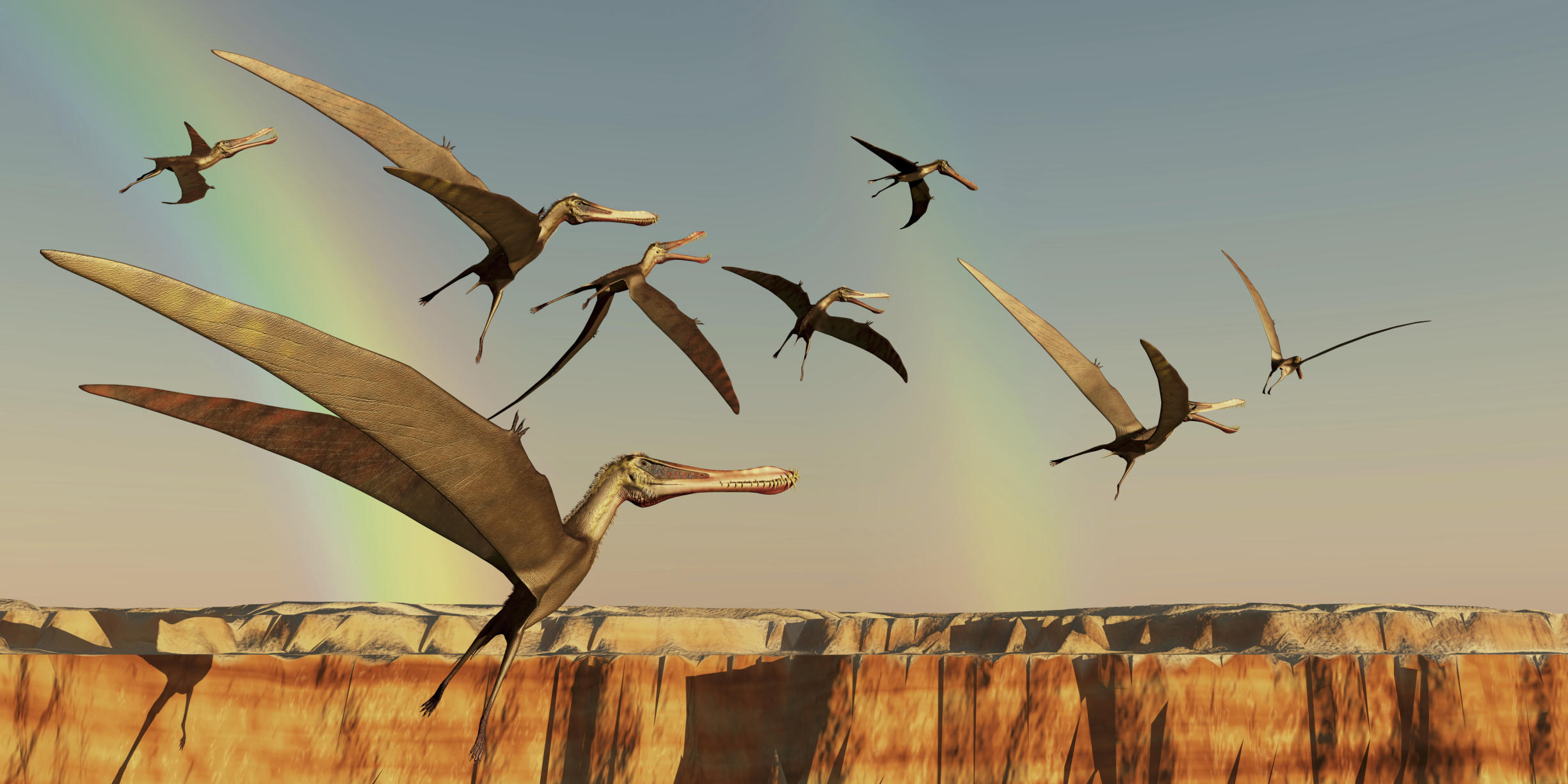 pterodactyl discovery