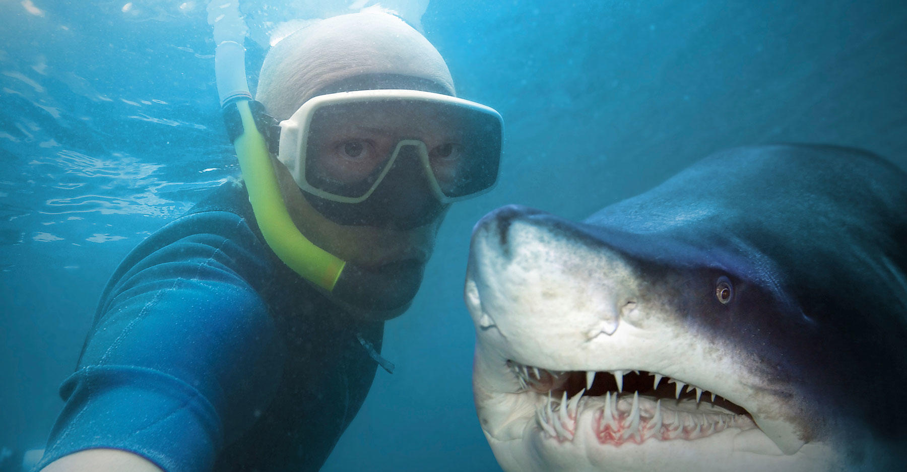 Are Selfies More Deadly than Sharks? Shark Week Discovery