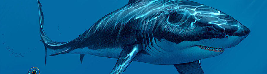 Megalodon: The Prehistoric World's Worst Nightmare