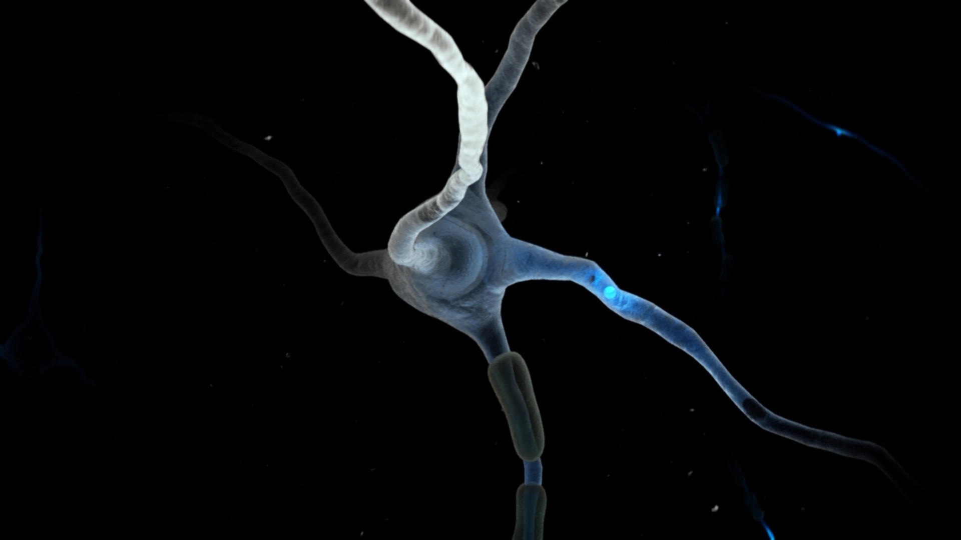 Where Does Déjà Vu Come From? Science Channel Science Channel