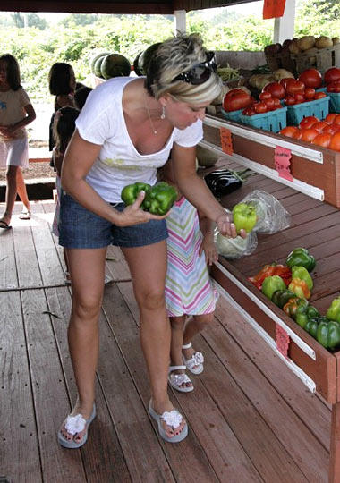 Farm to Table