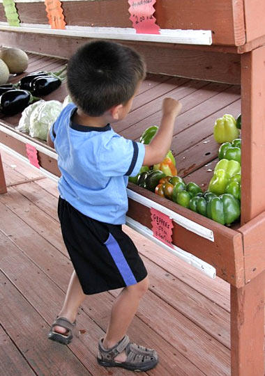 Farm to Table