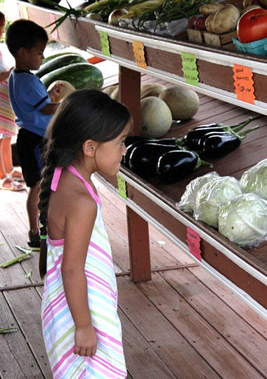 Farm to Table