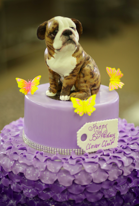 Cake Boss