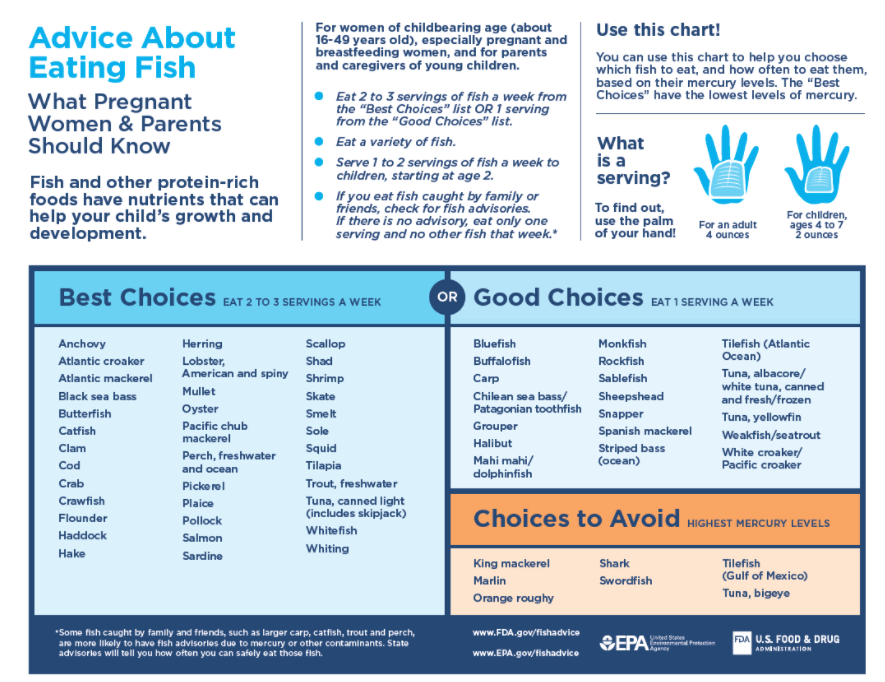 fda-issues-new-seafood-guidelines-for-pregnant-women-tlcme-tlc