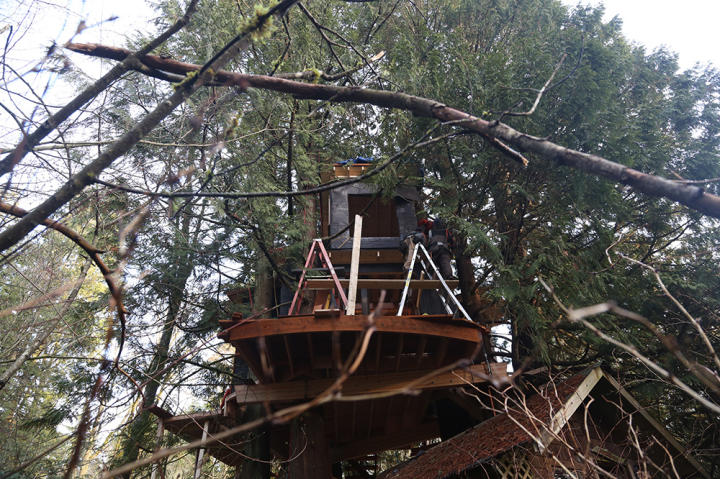 1-treehouse-masters-ceelo-green-207-1000w