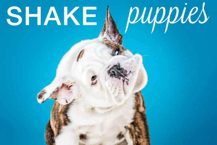 Carli Davidson is back at it with an adorable new book: