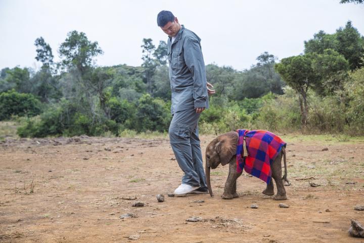 yao-ming-elephants-1
