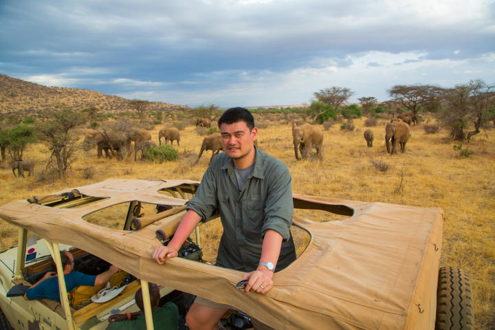 yao-ming-elephants-4