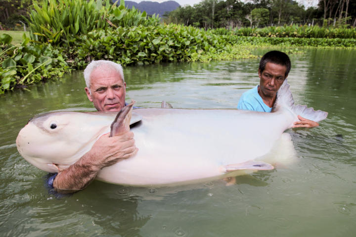 River Monsters