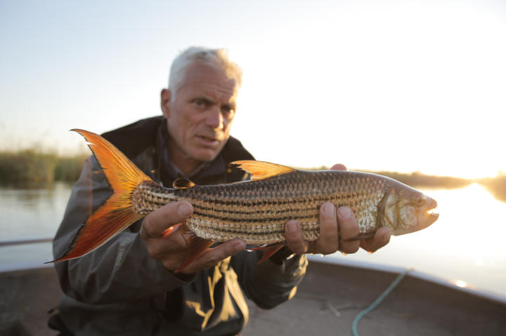 River Monsters