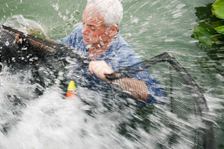 River Monsters