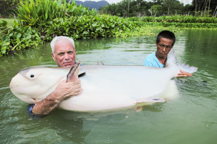 River Monsters