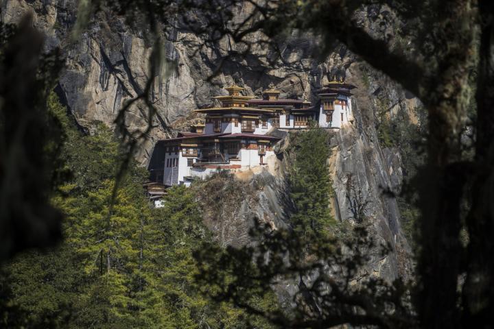 Tigers & Legend in Bhutan