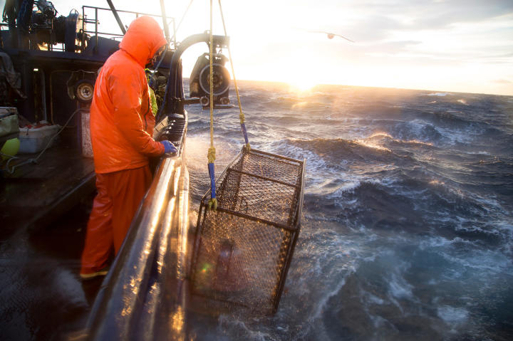 The Cape Caution hauls in a crab pot.
